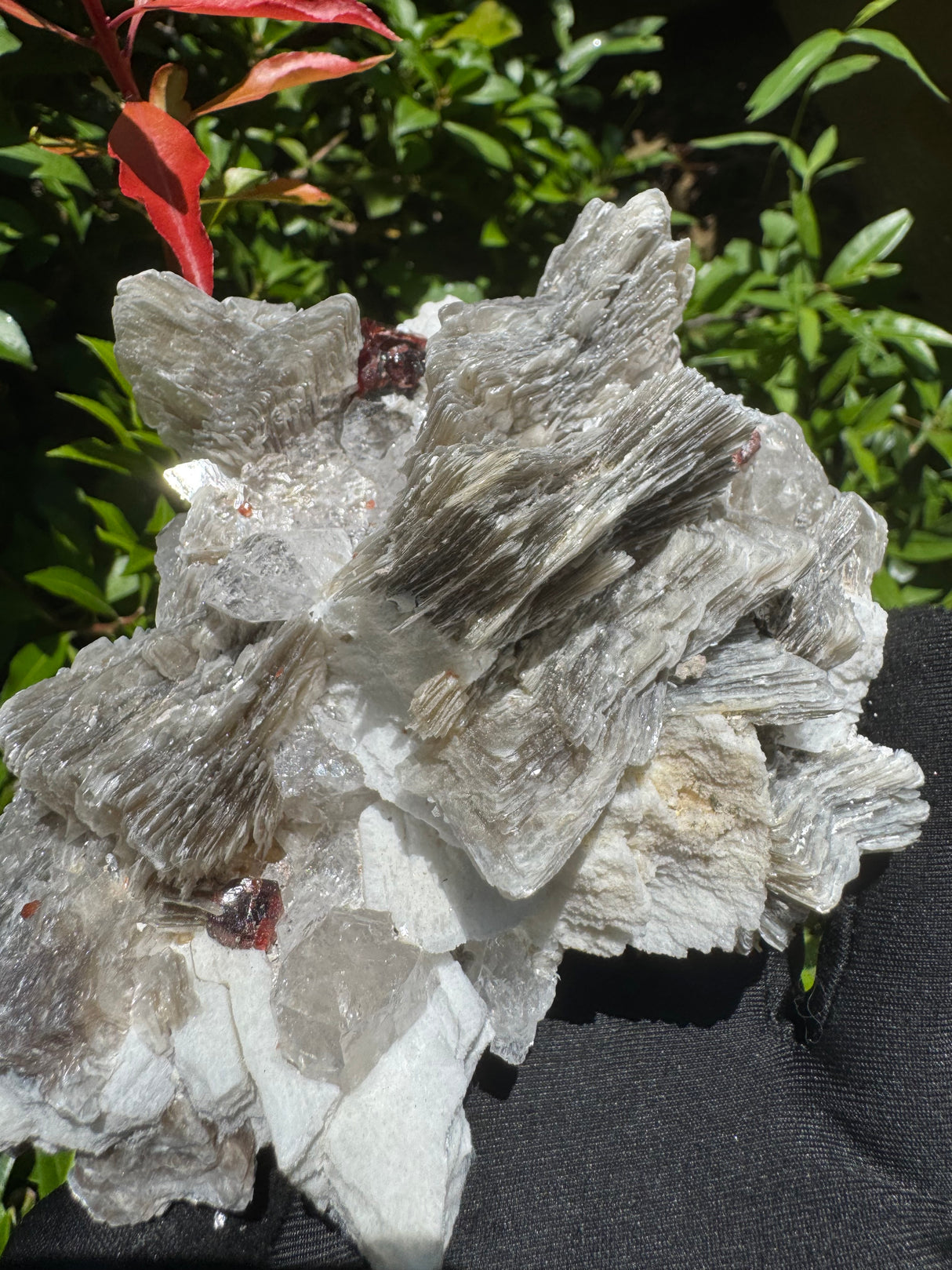 Garnet on Star Mica Specimen - 669g