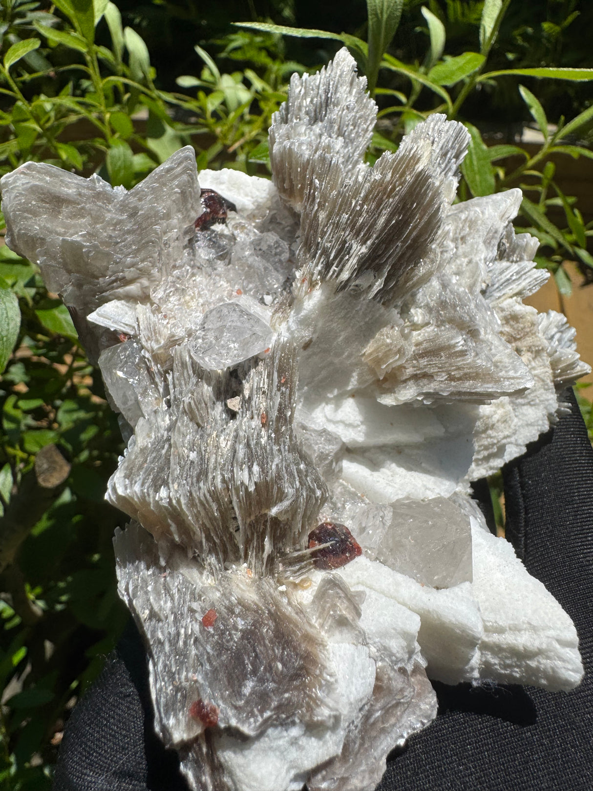 Garnet on Star Mica Specimen - 669g