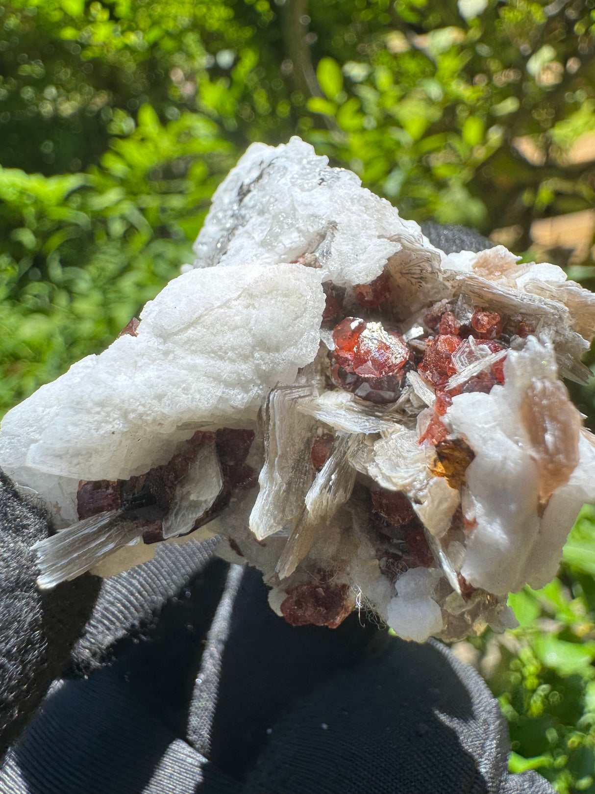 Garnet on Star Mica Specimen - 38g