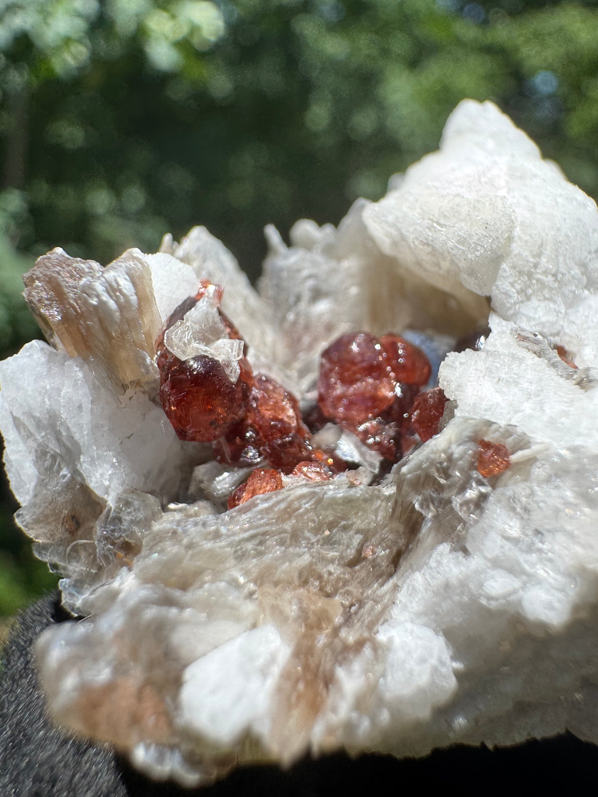 Garnet on Star Mica Specimen - 38g