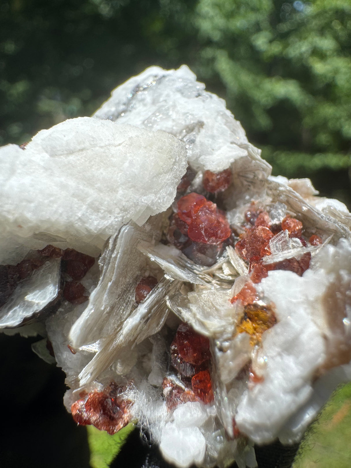Garnet on Star Mica Specimen - 38g