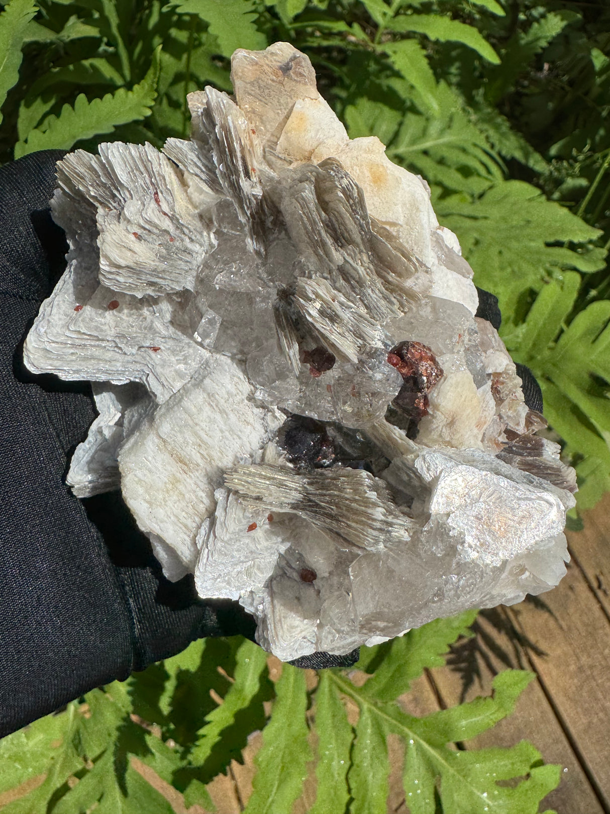 Garnet on Star Mica Specimen - 507g