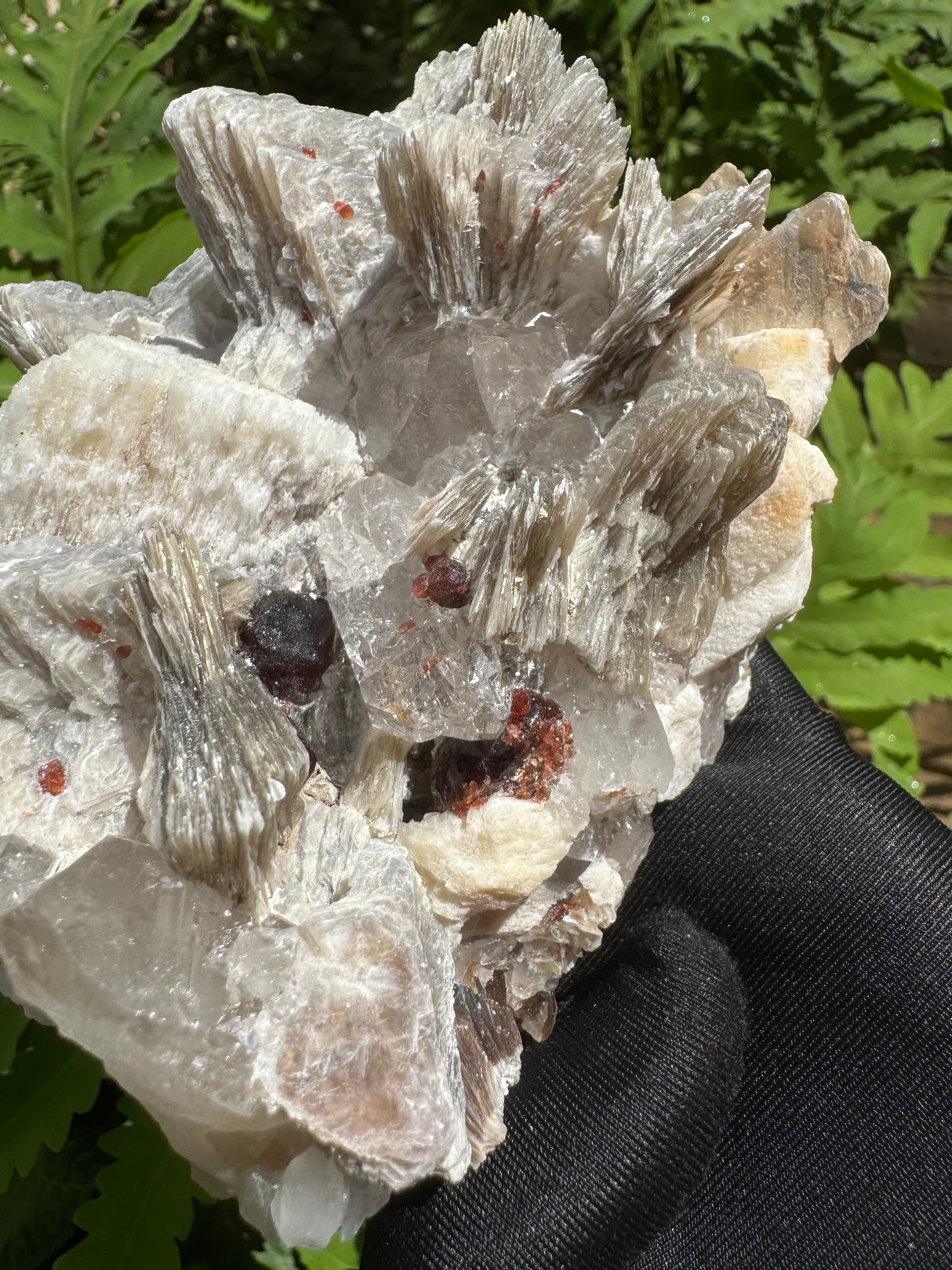 Garnet on Star Mica Specimen - 507g