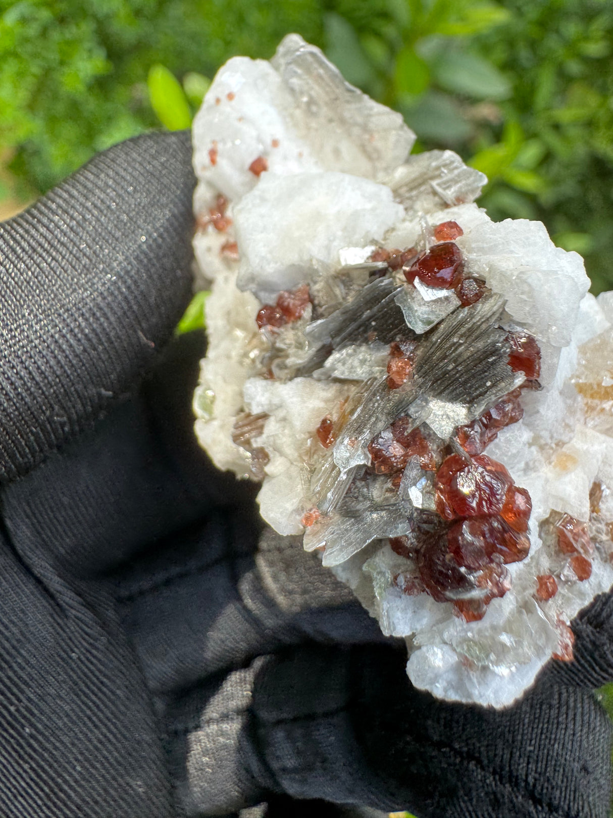Garnet on Star Mica Specimen - 60g