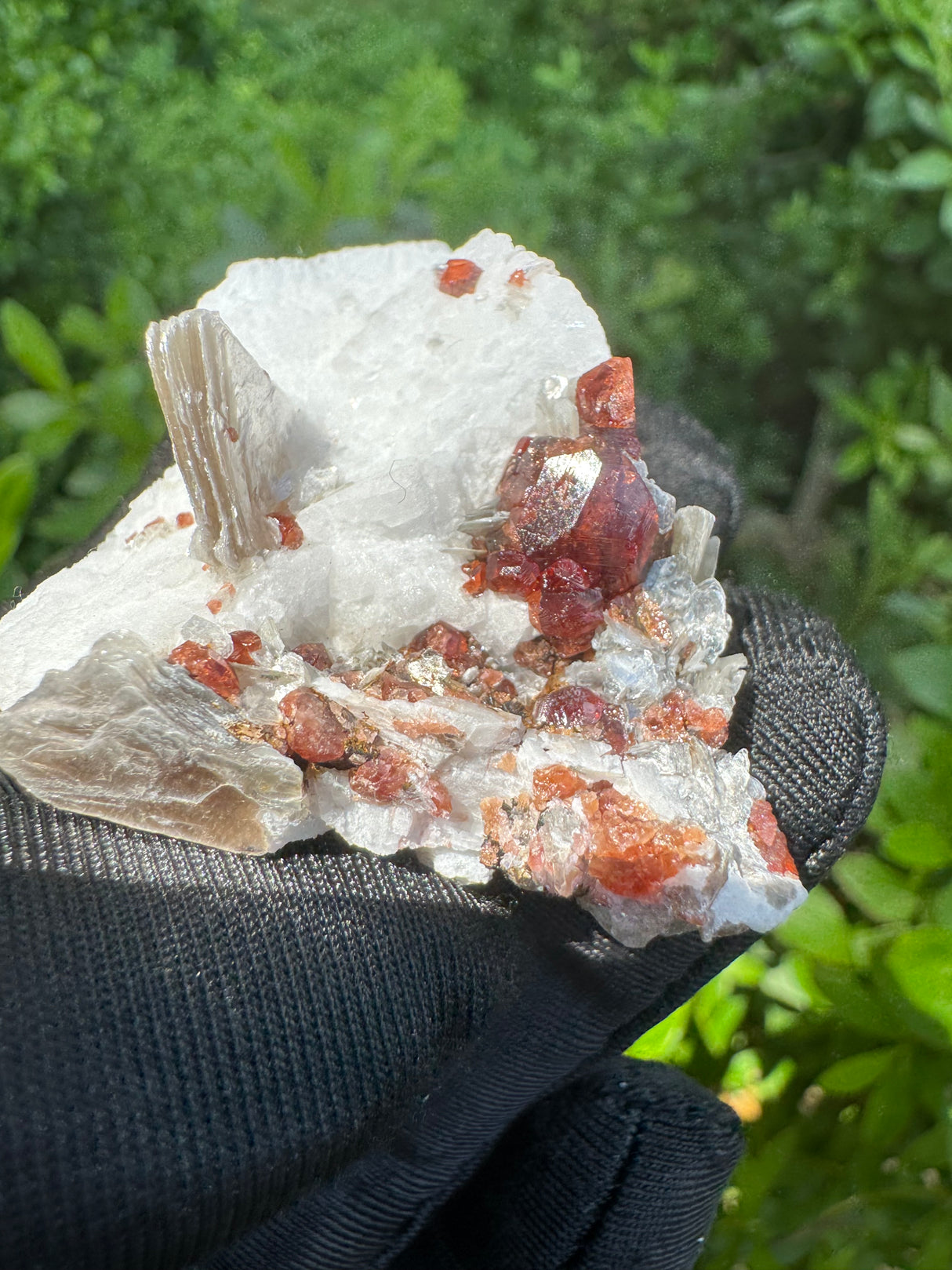 Garnet on Star Mica Specimen - 20g