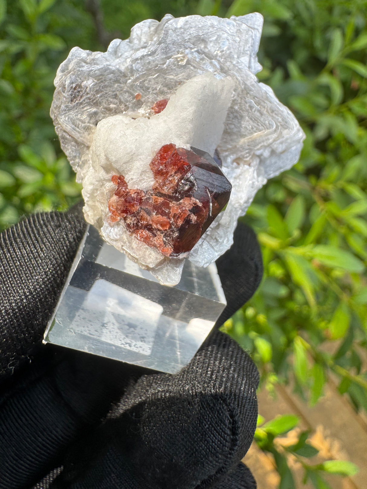 Garnet on Star Mica Specimen - 30g