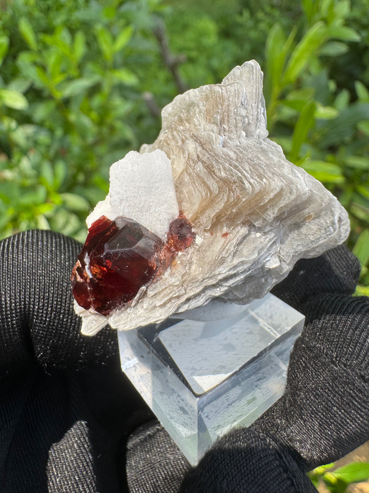 Garnet on Star Mica Specimen - 30g
