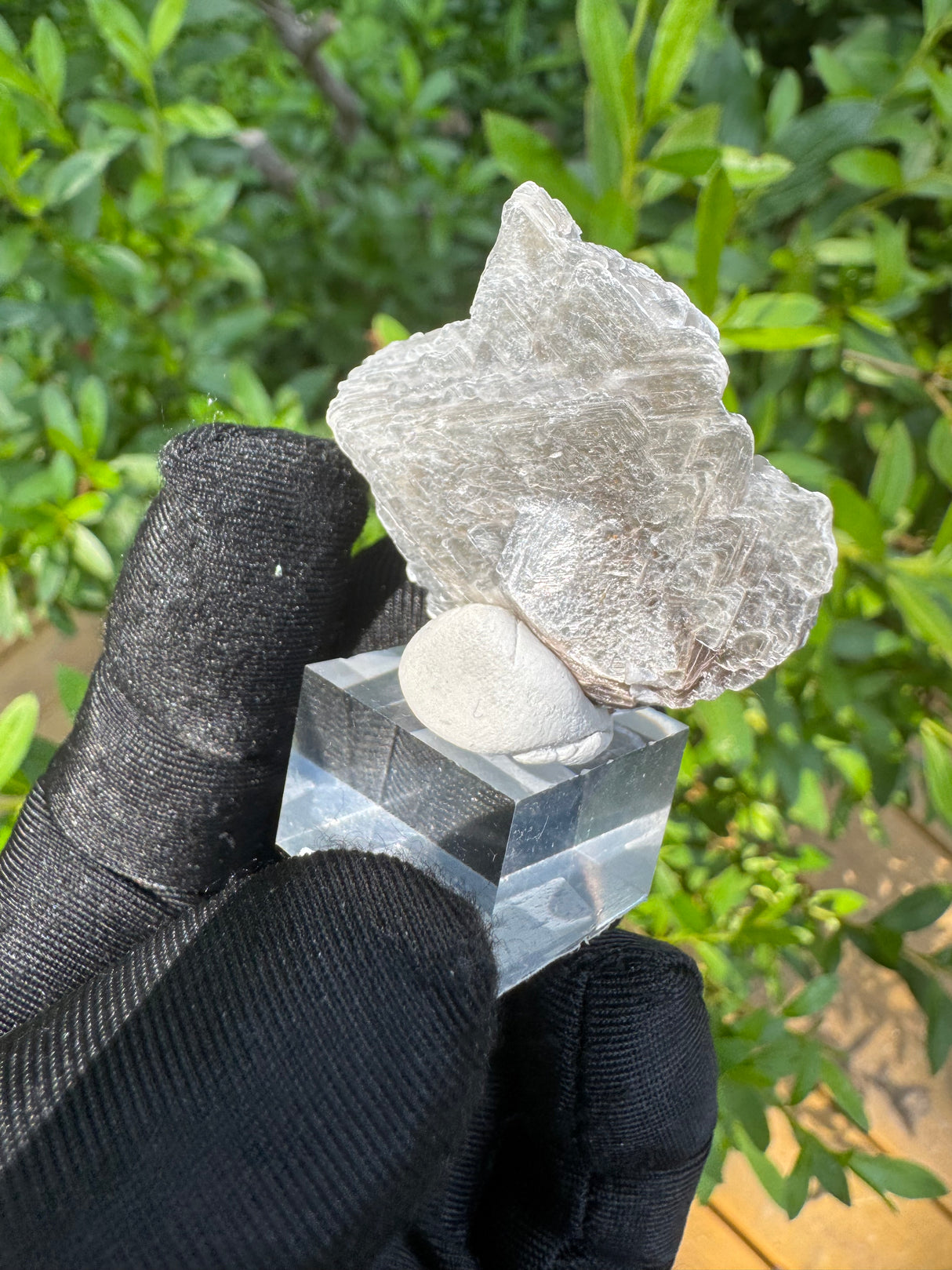 Garnet on Star Mica Specimen - 30g