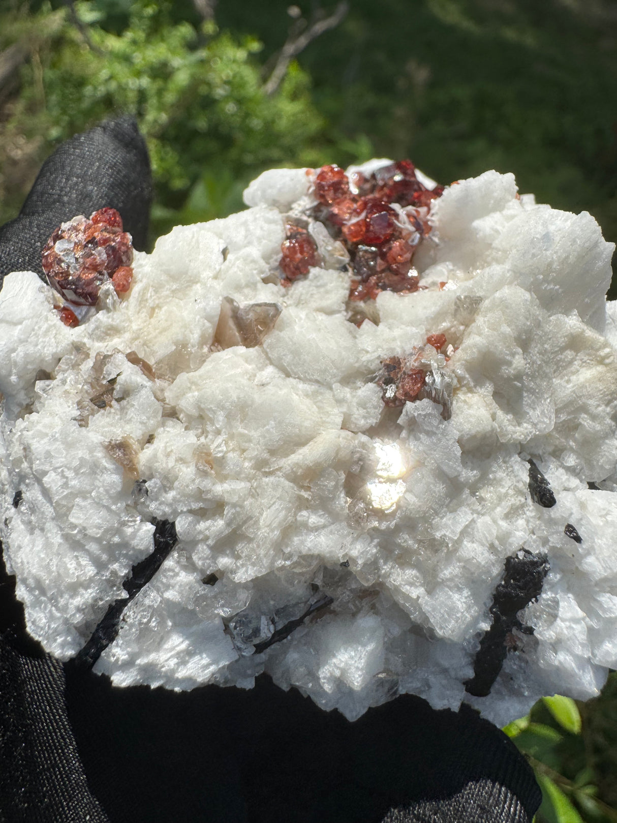 Garnet on Star Mica Specimen - 200g