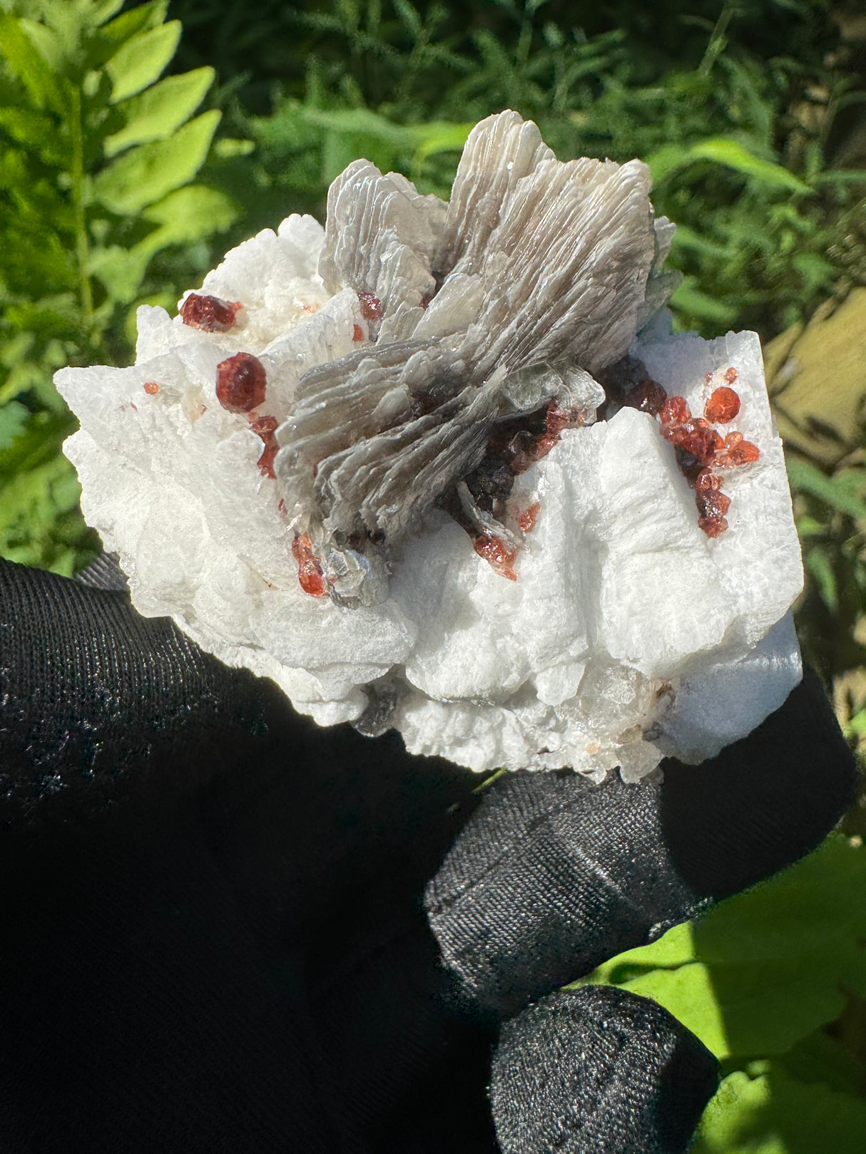 Garnet on Star Mica Specimen - 59g