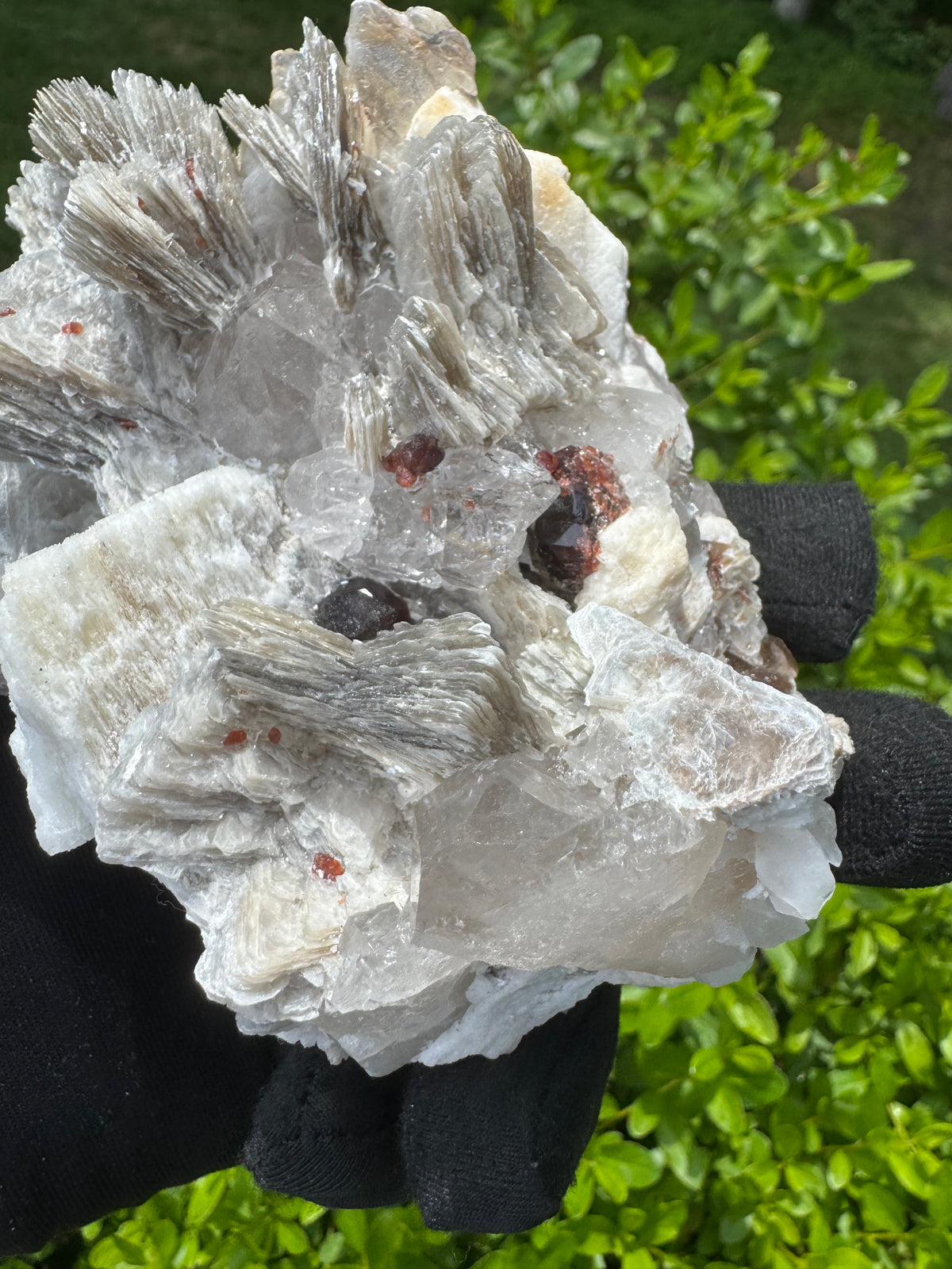 Garnet on Star Mica Specimen - 373g