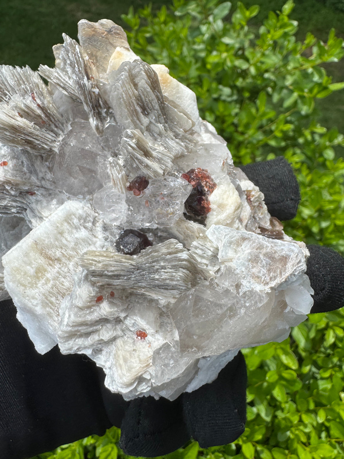 Garnet on Star Mica Specimen - 373g