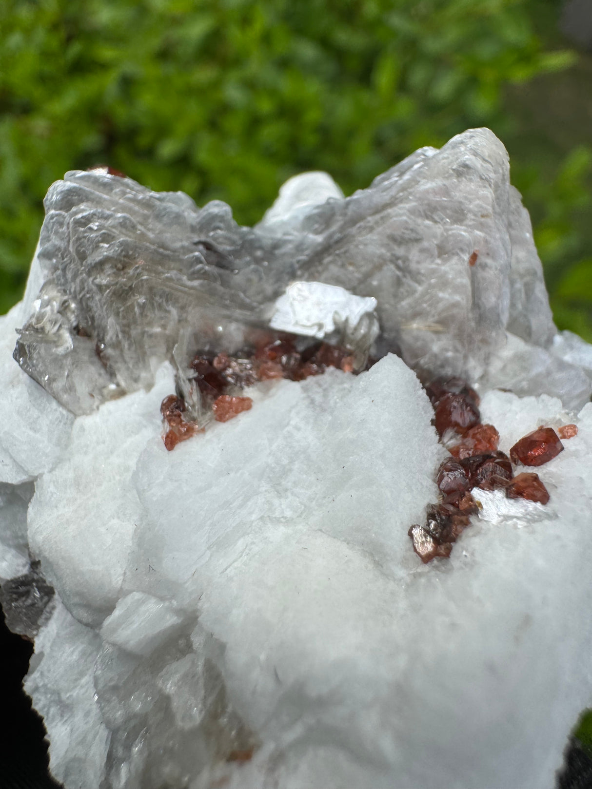 Garnet on Star Mica Specimen - 63g
