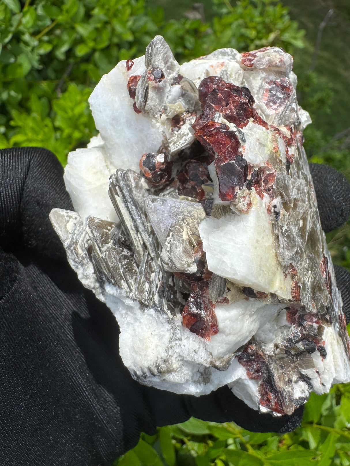 Garnet on Star Mica Specimen - 138g