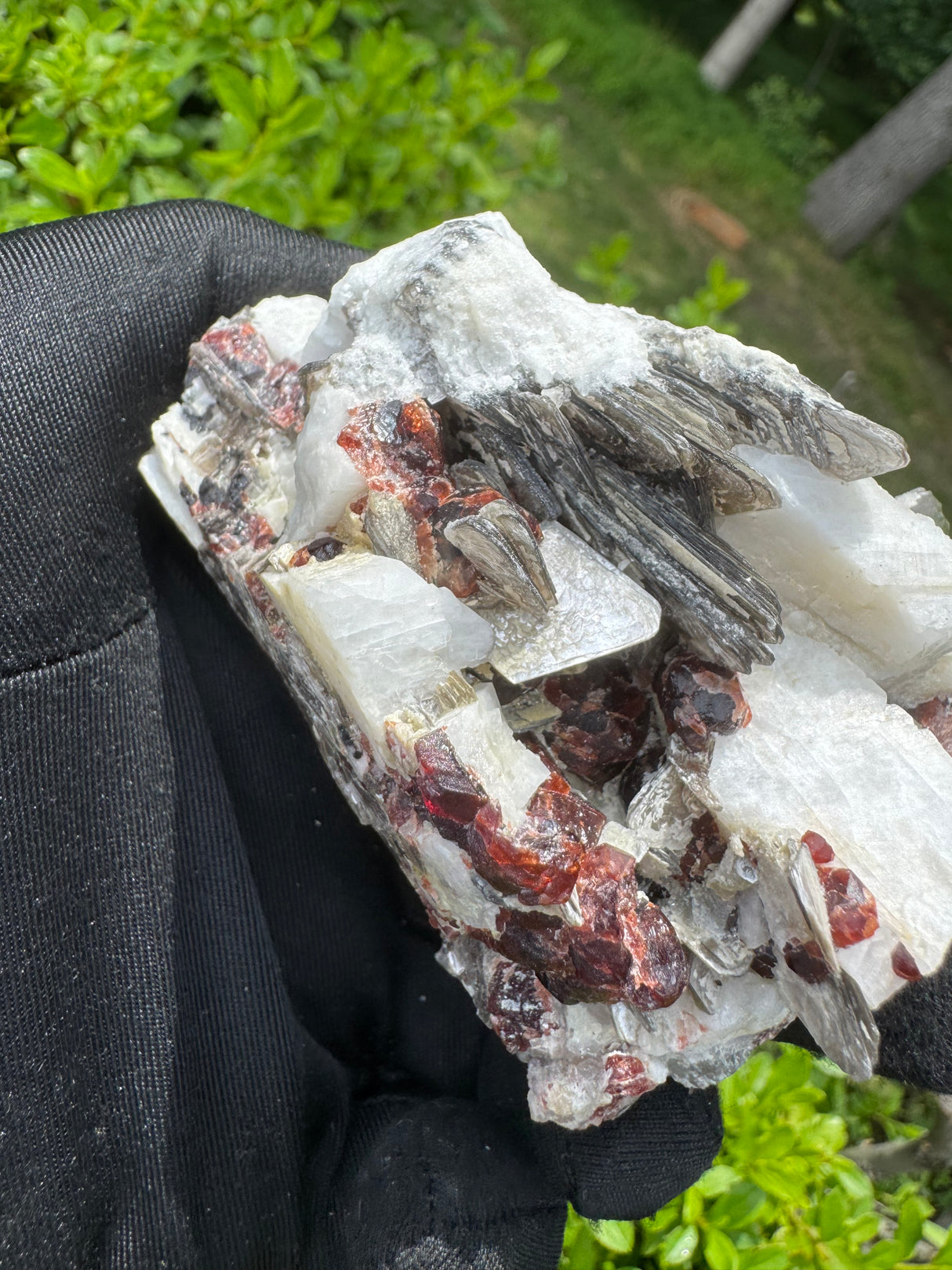 Garnet on Star Mica Specimen - 138g