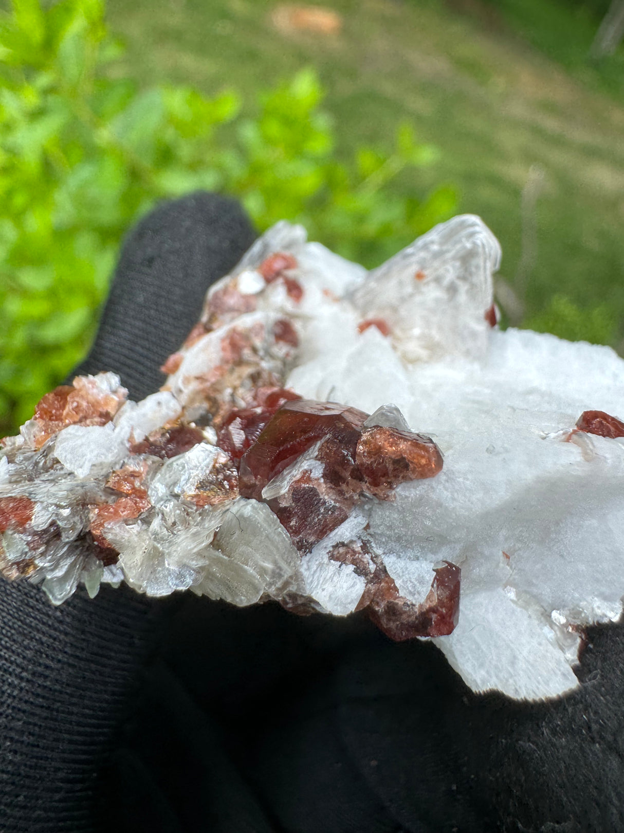 Garnet on Star Mica Specimen - 12g