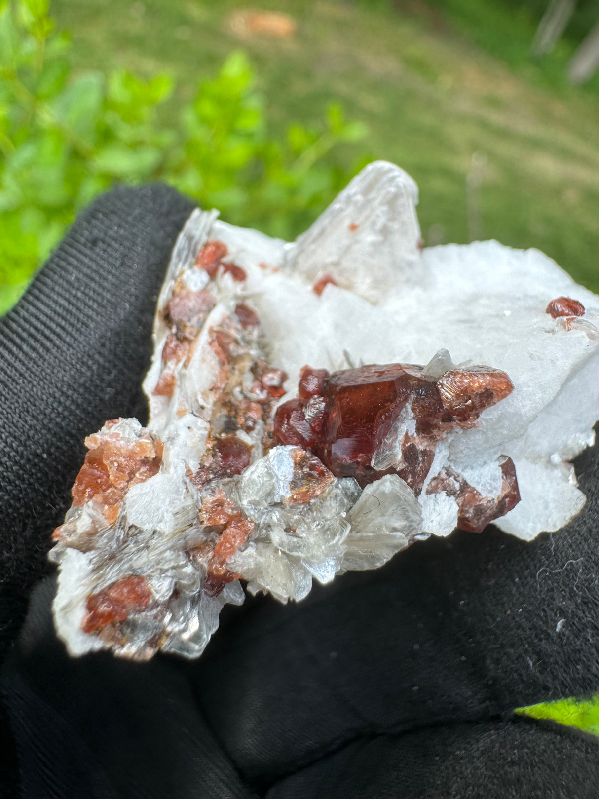 Garnet on Star Mica Specimen - 12g