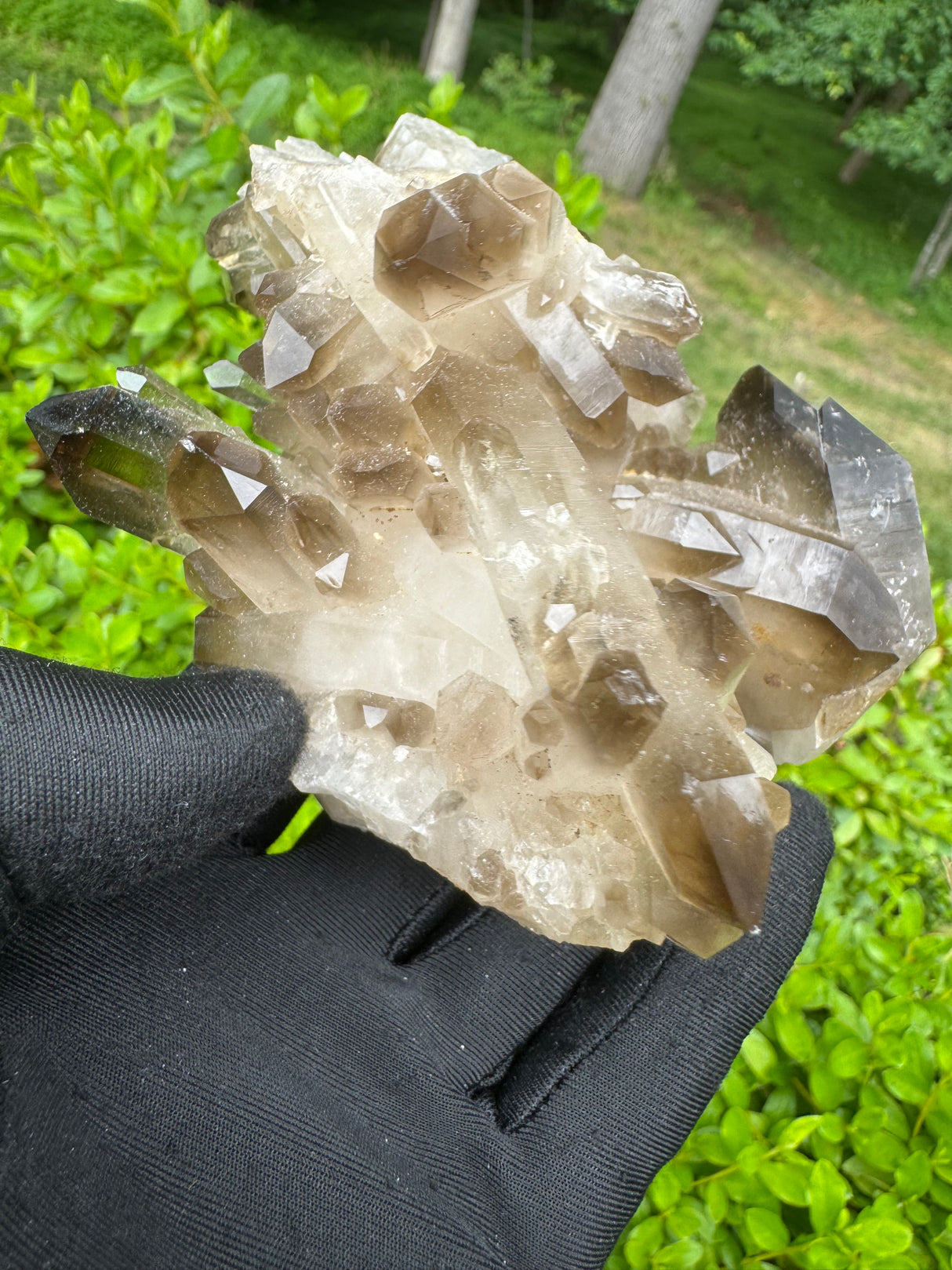 Smoky Quartz Specimen - 485g