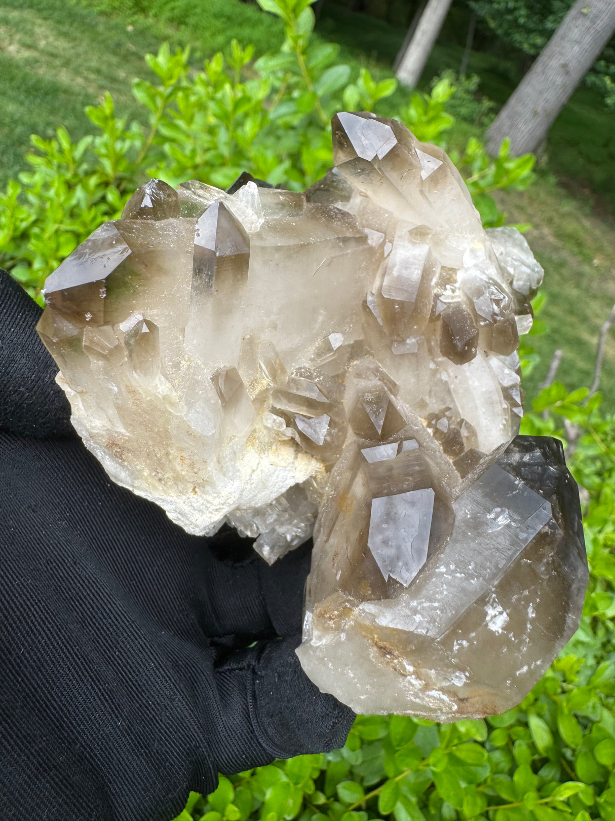Smoky Quartz Specimen - 485g