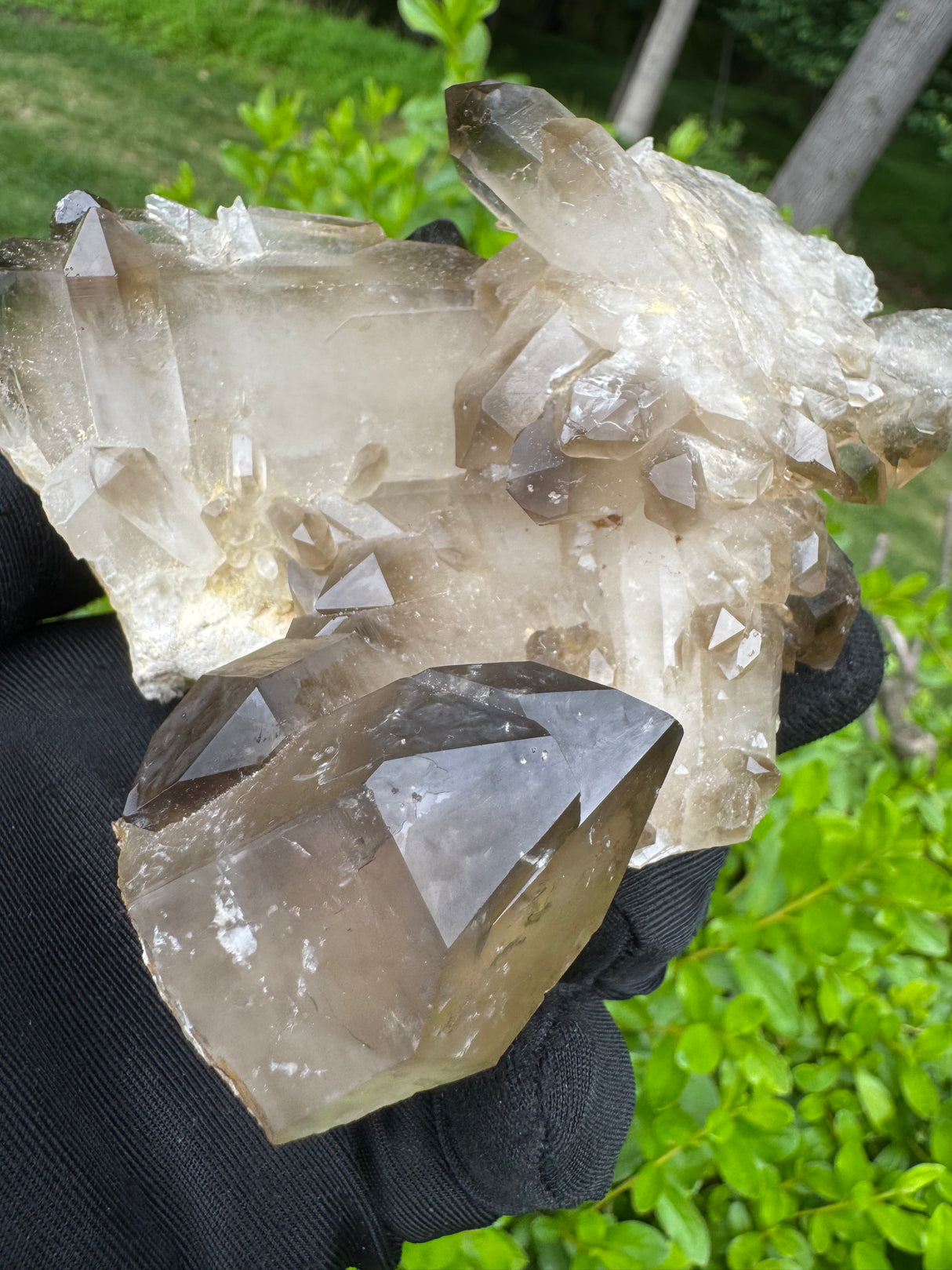 Smoky Quartz Specimen - 485g
