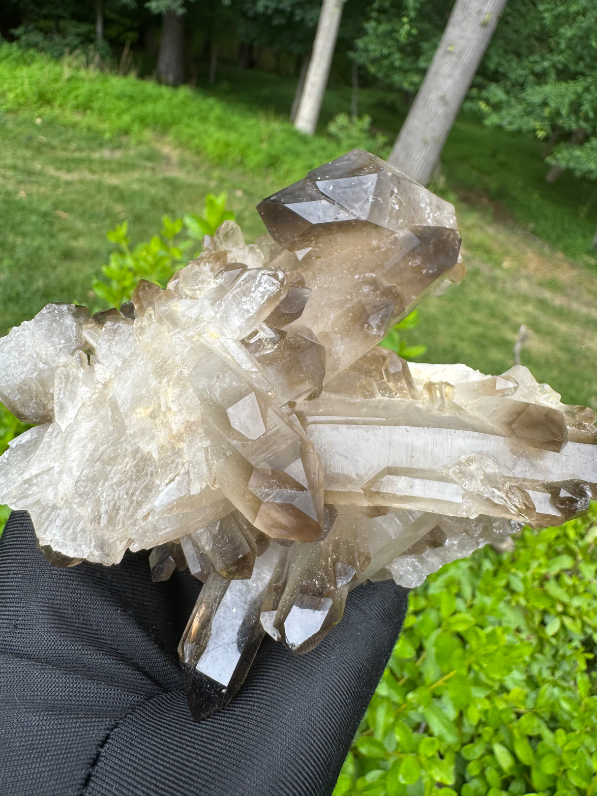 Smoky Quartz Specimen - 485g