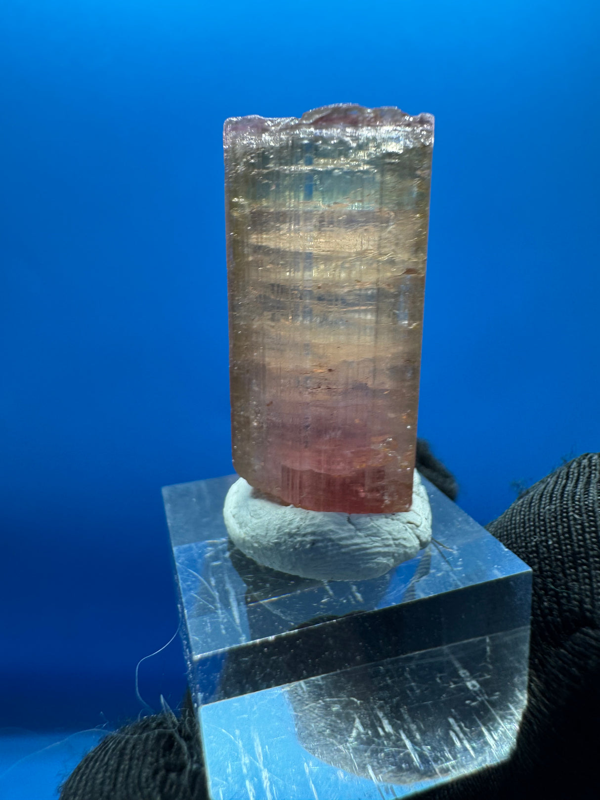 Watermelon Tourmaline Crystal - 8.712g