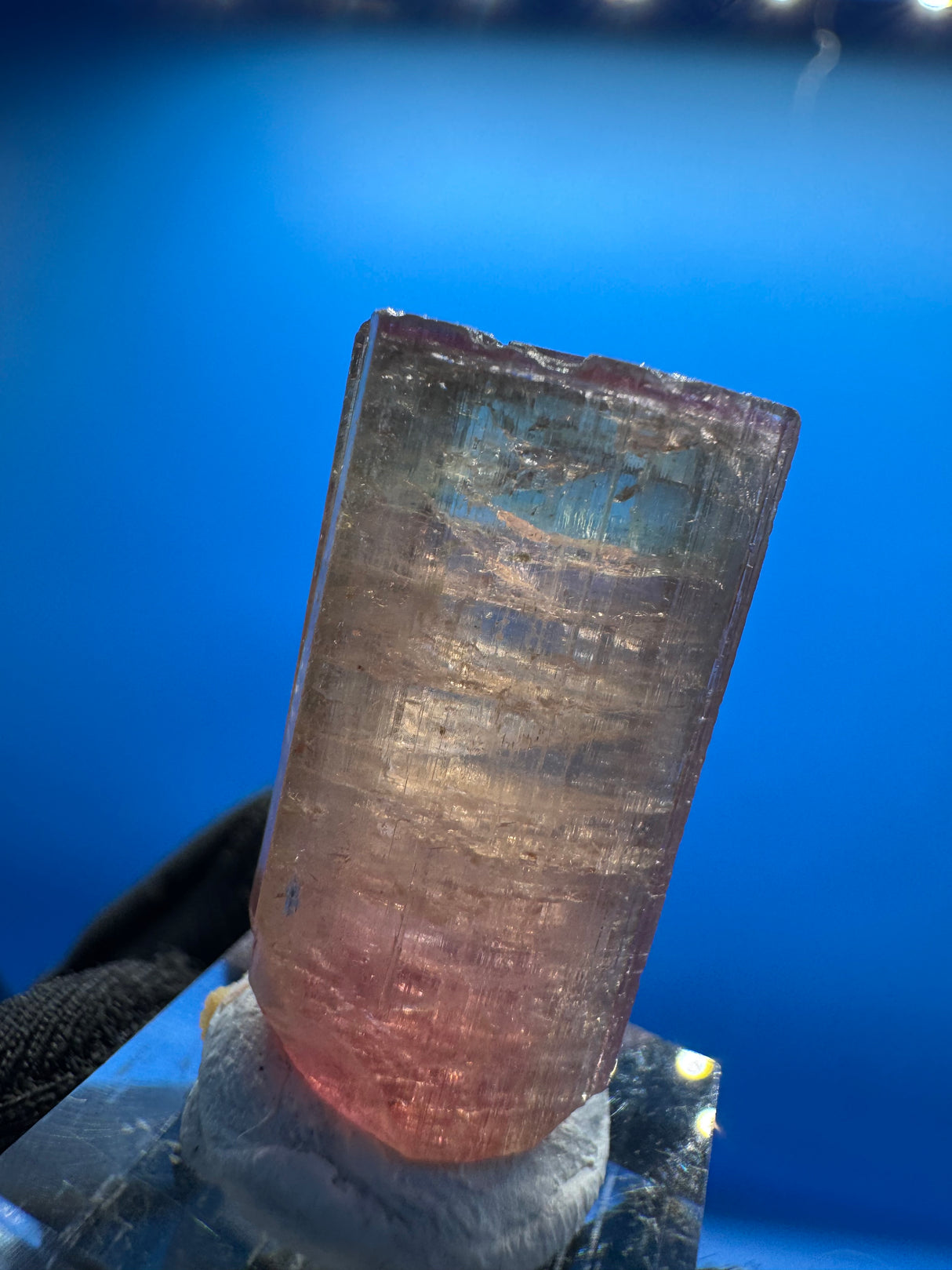 Watermelon Tourmaline Crystal - 8.712g