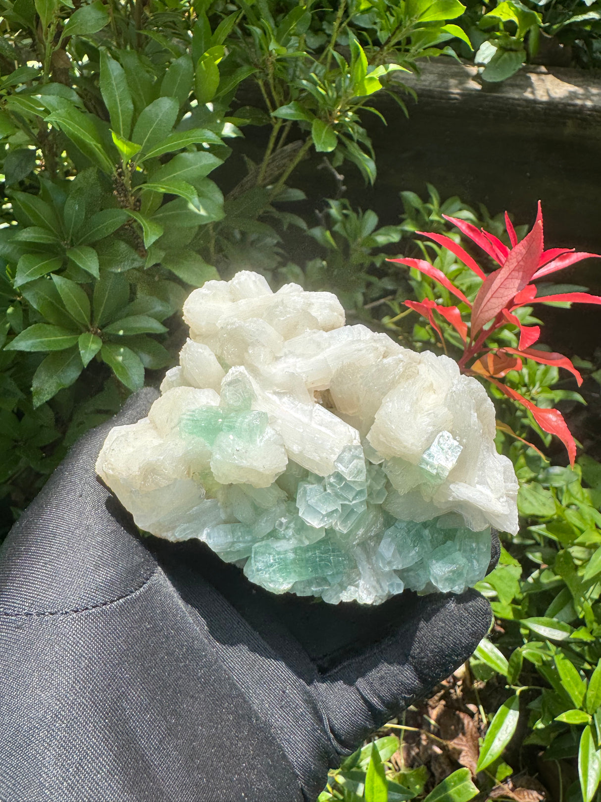 Green Apophyllite - 786g