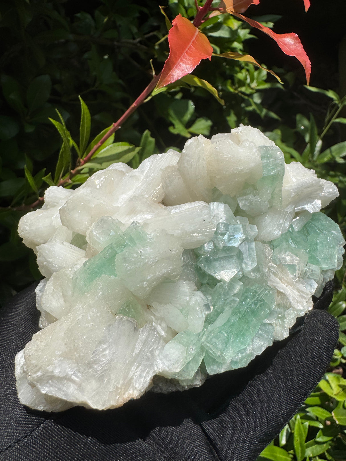 Green Apophyllite - 786g