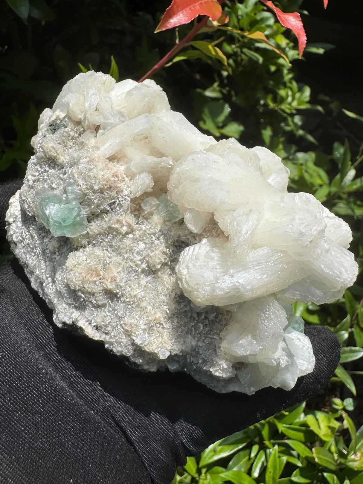 Green Apophyllite - 786g