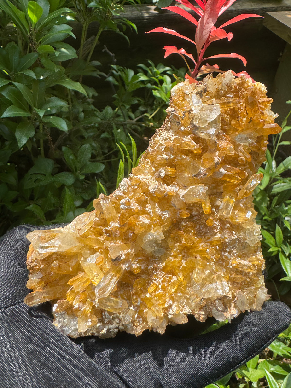 Iron Stained Quartz - 824g