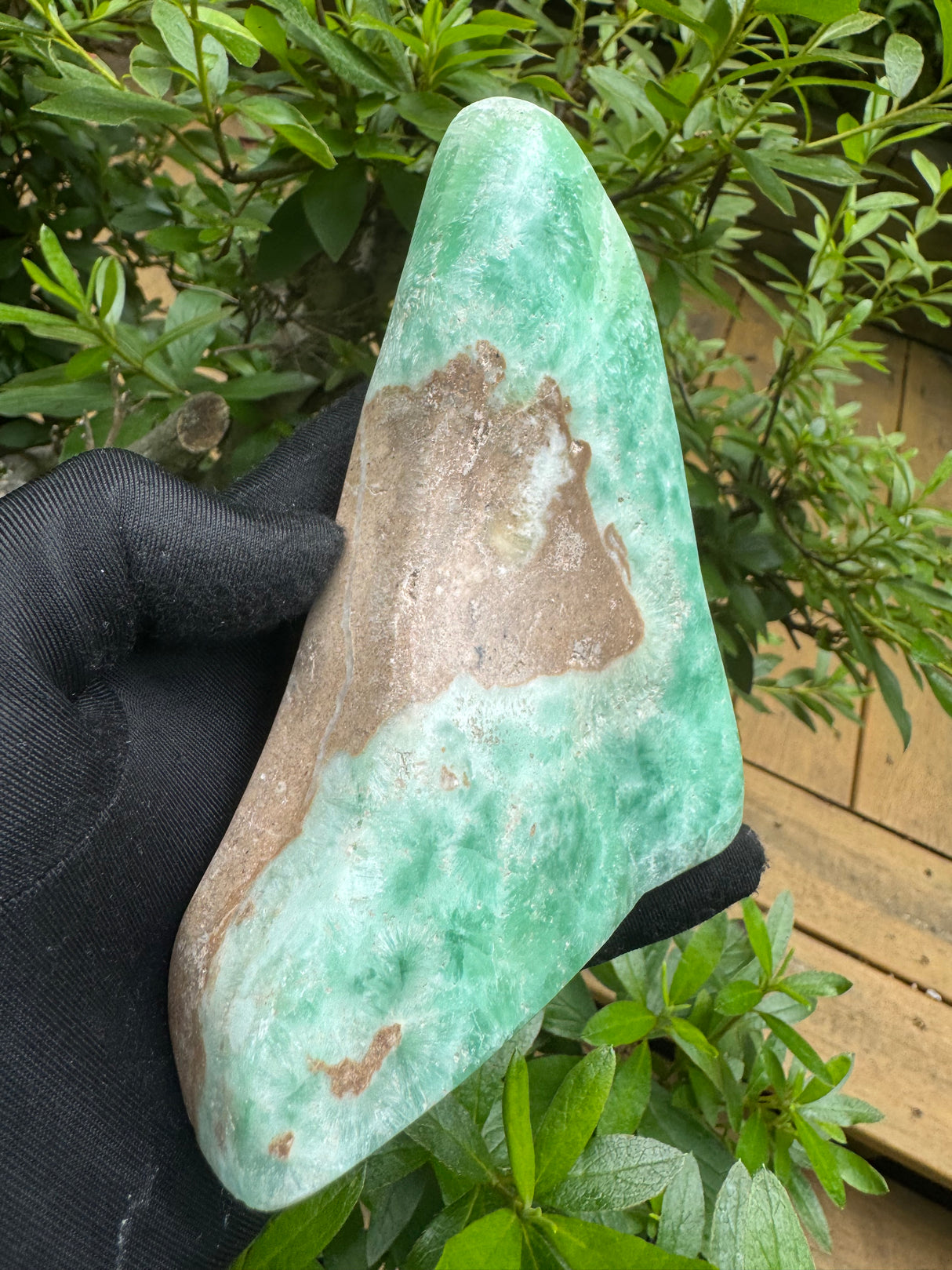 Aragonite Freeform - 619g