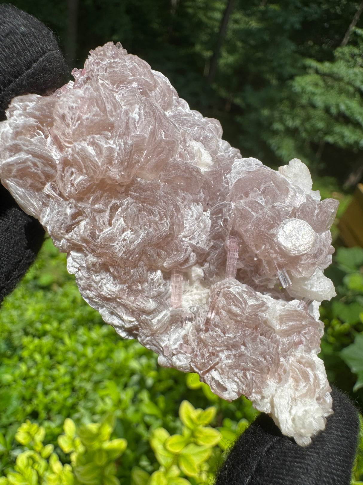 Pink Tourmaline Specimen - 194g