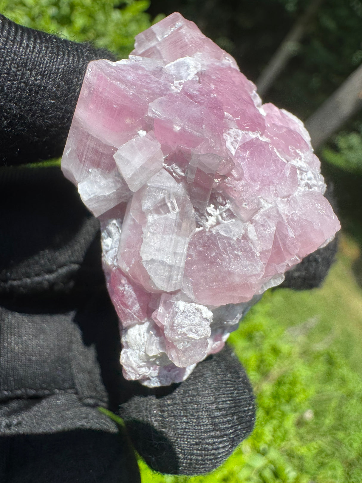 Pink Tourmaline - 44g
