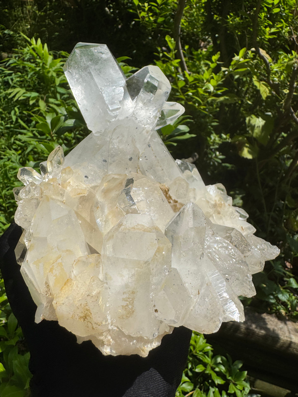 Quartz Specimen - 6.56lb