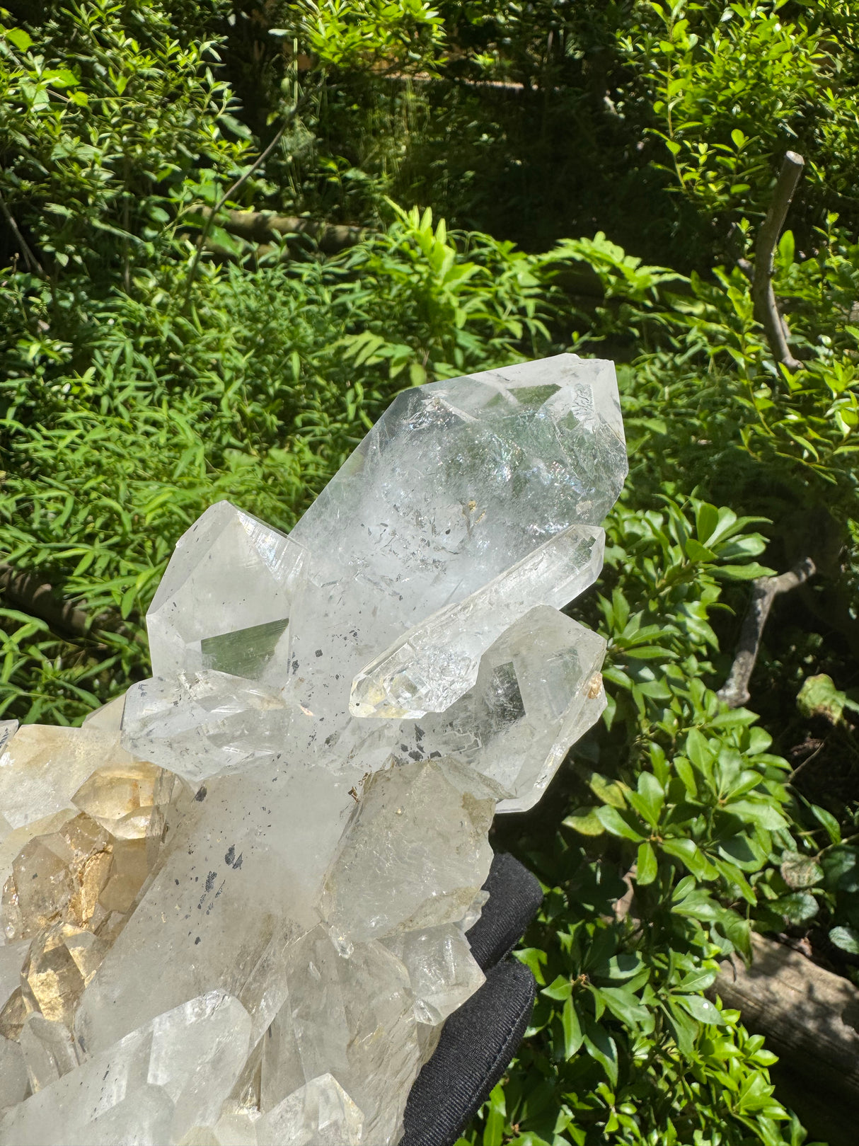 Quartz Specimen - 6.56lb