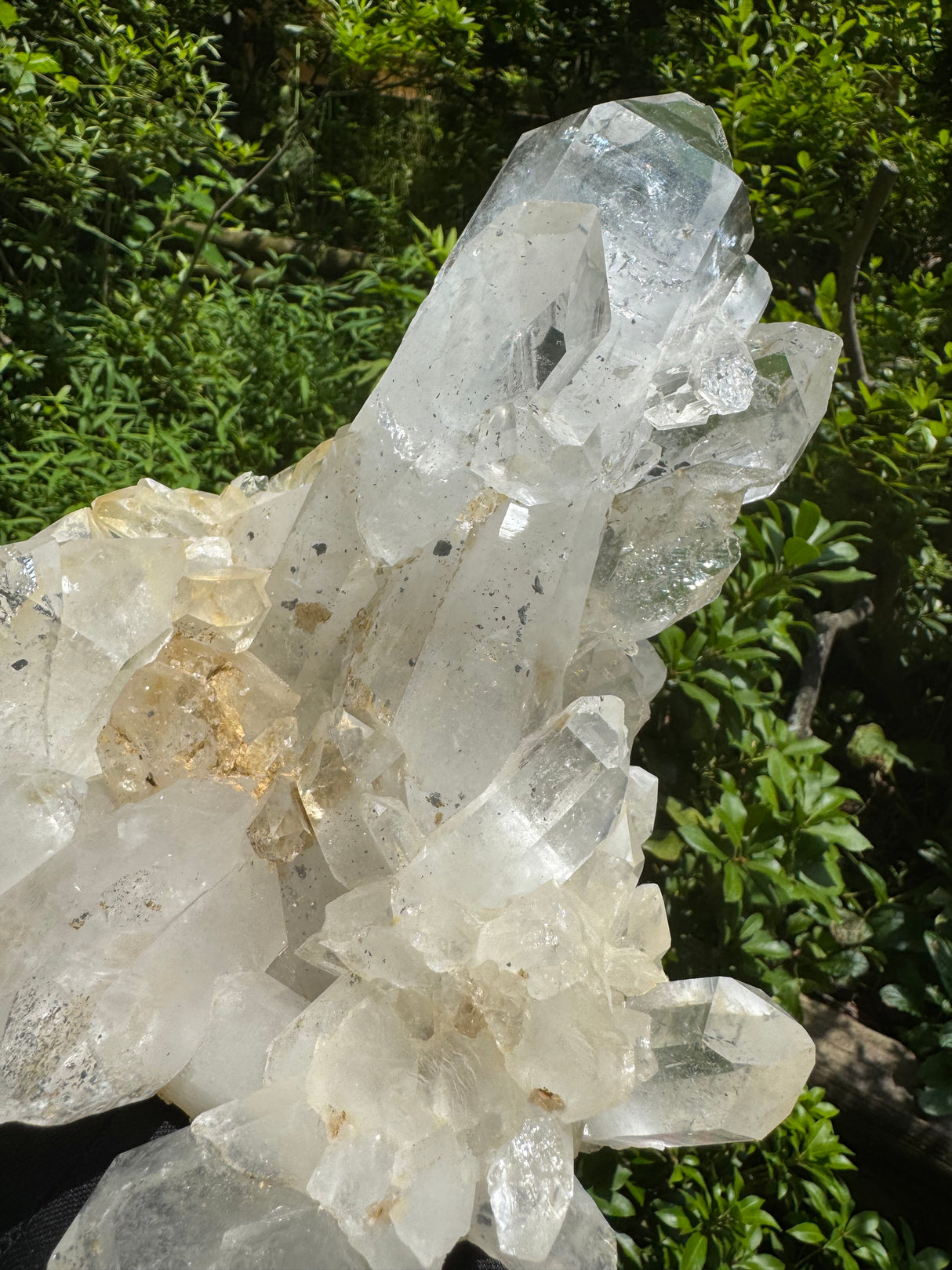 Quartz Specimen - 6.56lb