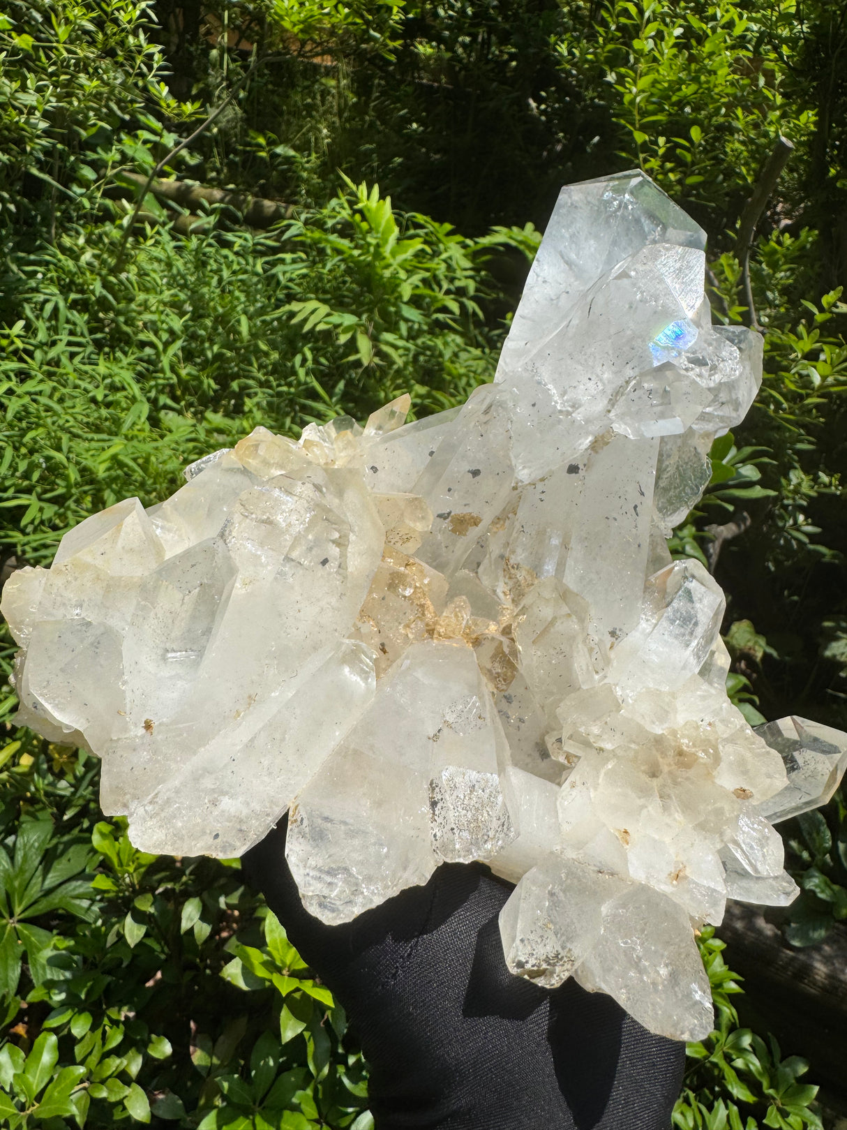 Quartz Specimen - 6.56lb