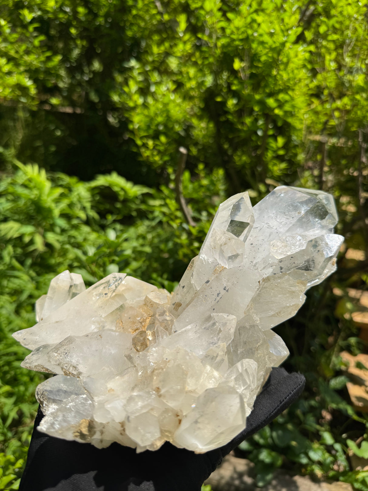 Quartz Specimen - 6.56lb