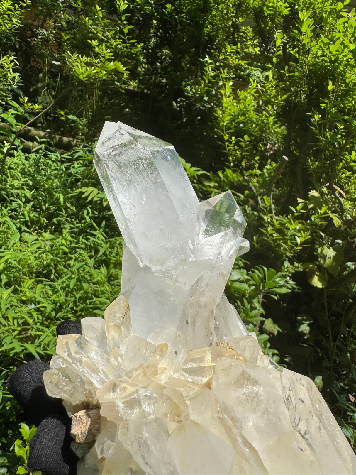 Quartz Specimen - 6.56lb