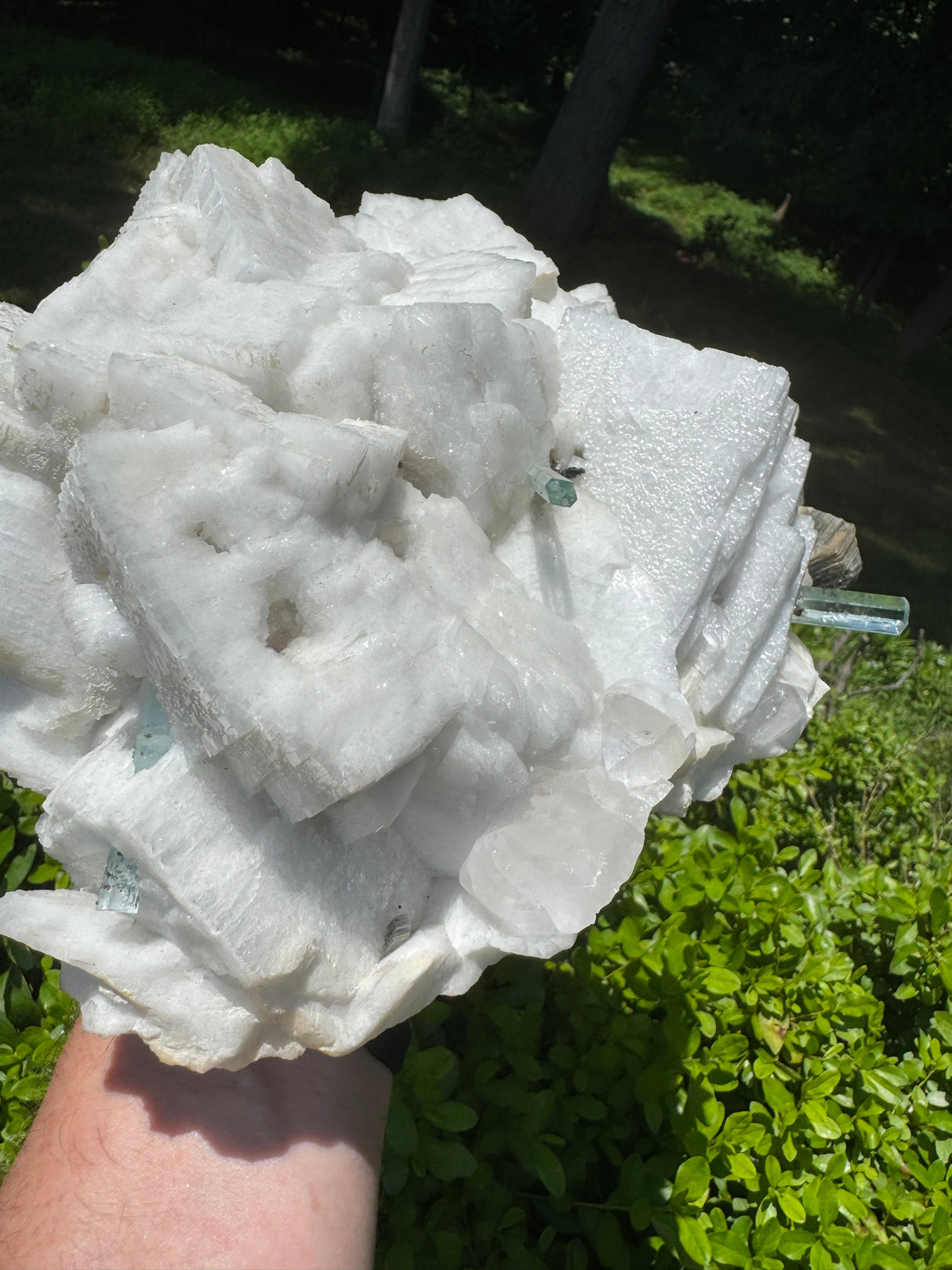 Museum-Grade Aquamarine Specimen - 15.94lb