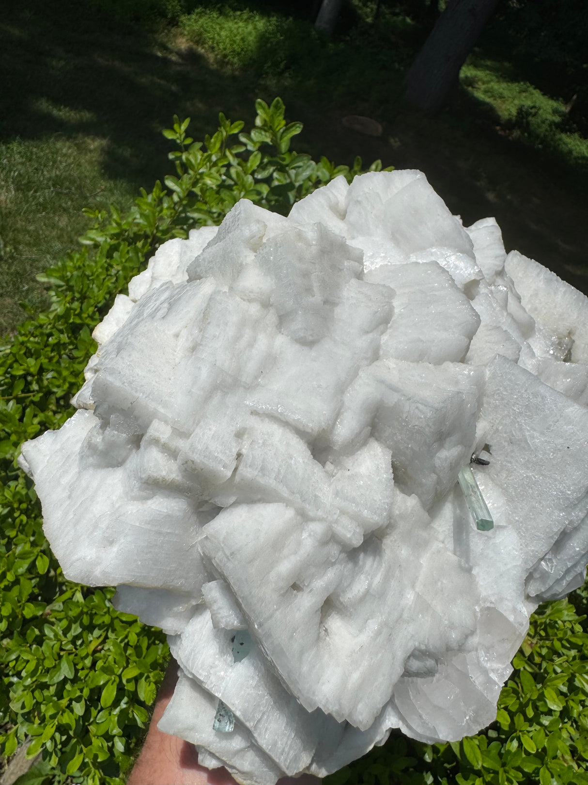 Museum-Grade Aquamarine Specimen - 15.94lb
