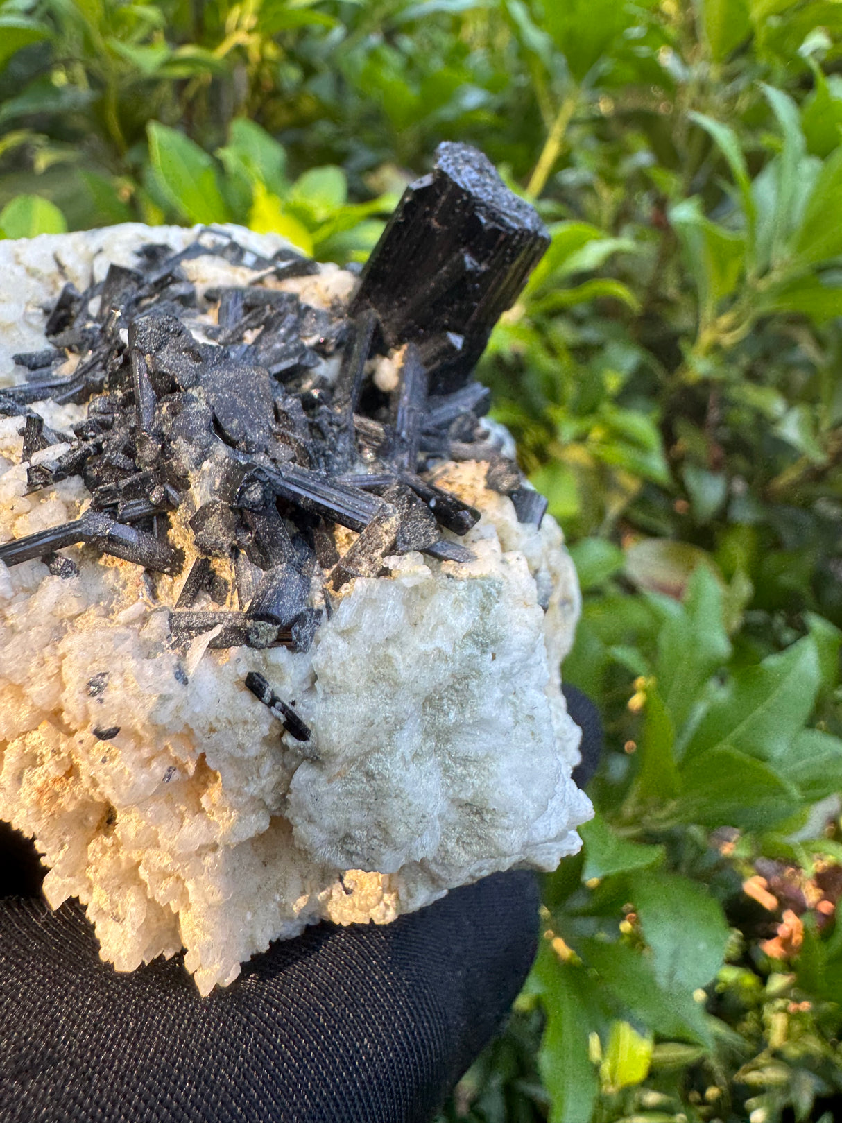 Black Tourmaline - 327g