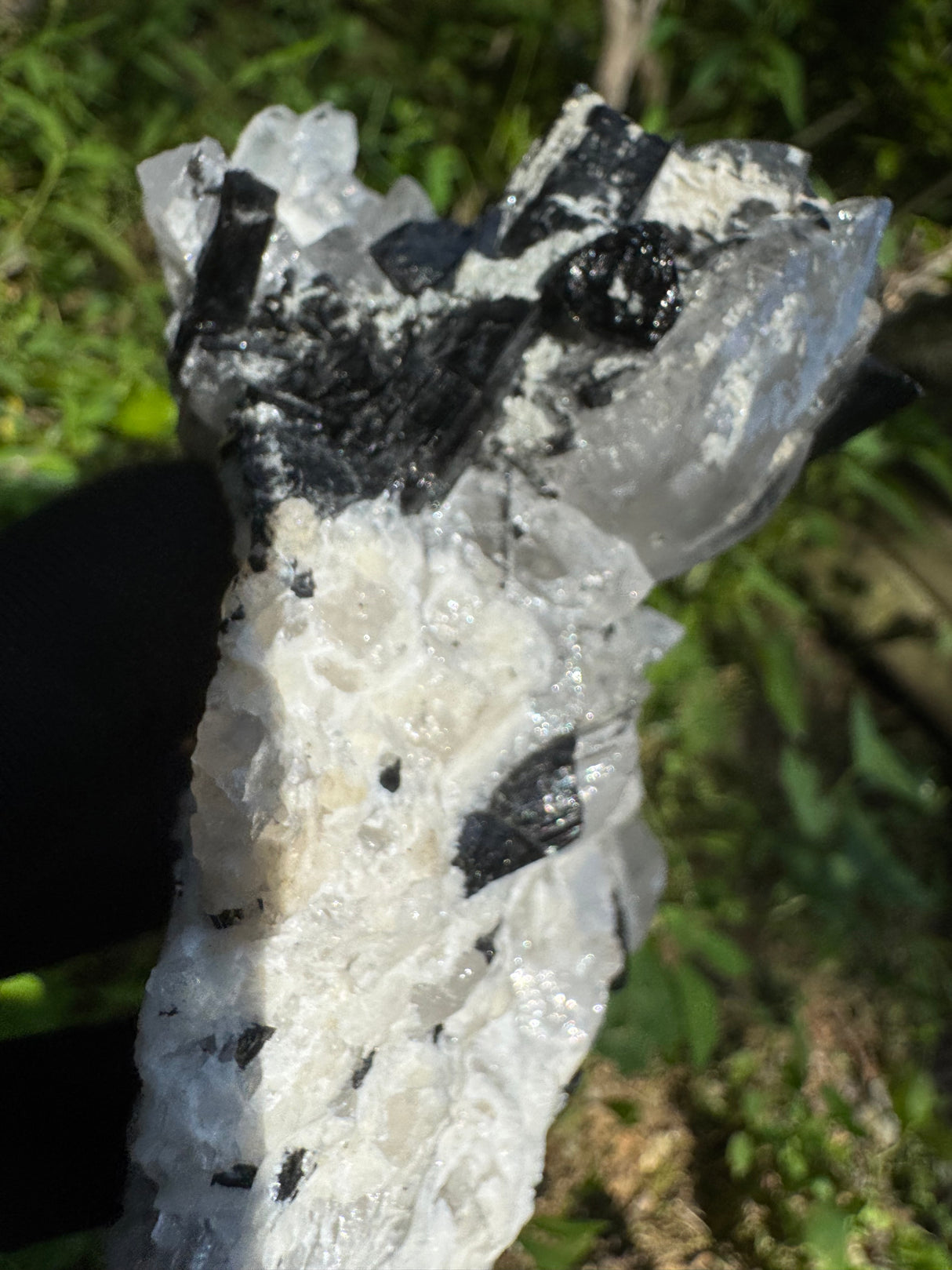 Black Tourmaline & Quartz - 726g