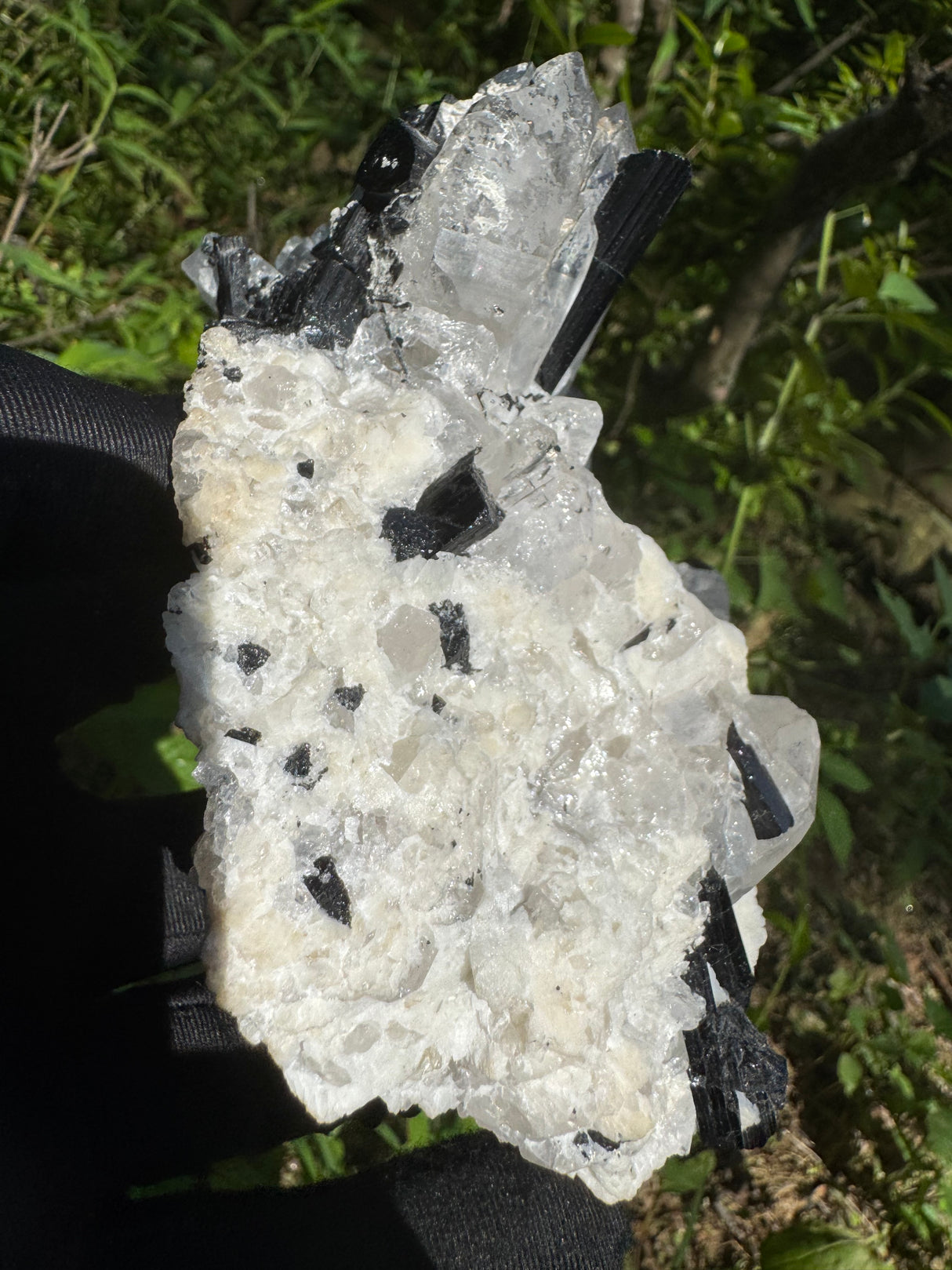 Black Tourmaline & Quartz - 726g