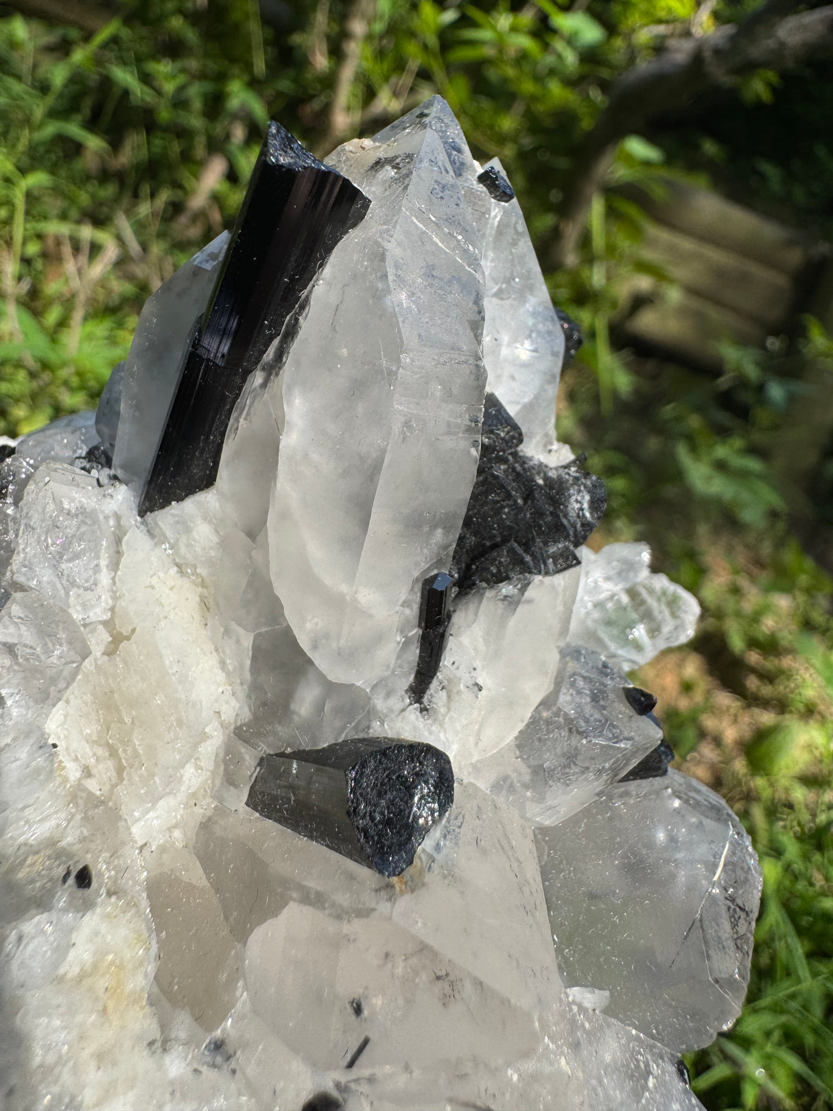 Black Tourmaline & Quartz - 726g