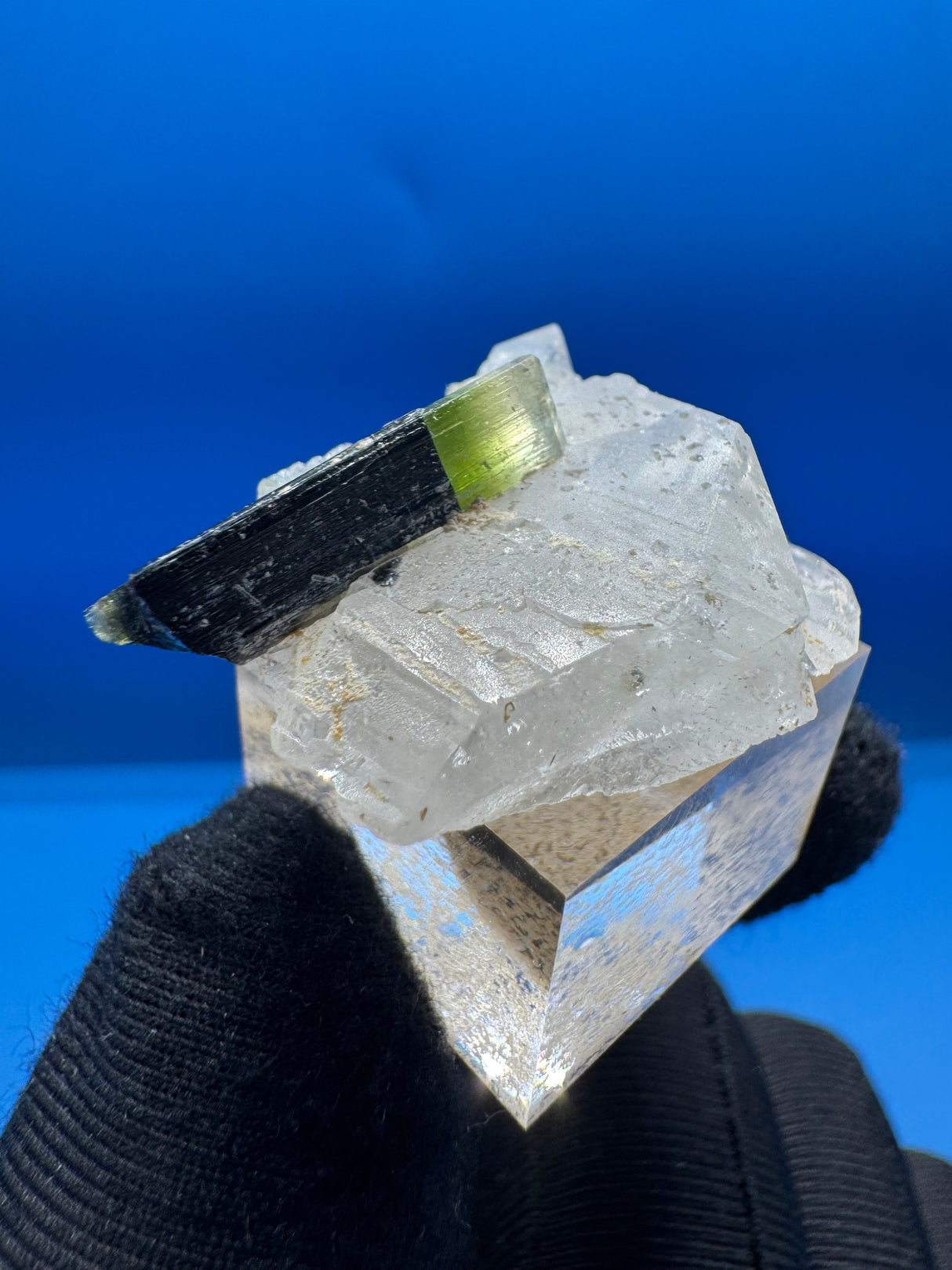 Greencap Tourmaline Specimen - 7g