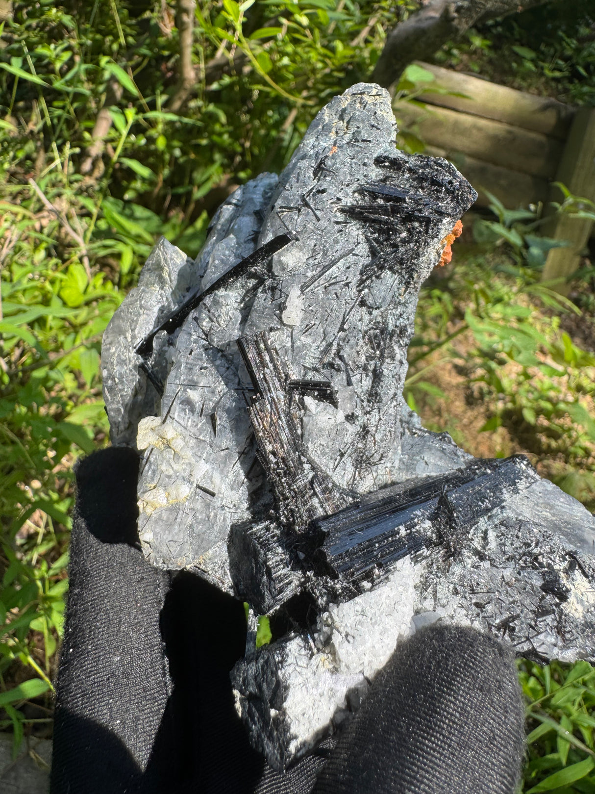 Tourmaline and Quartz Specimen - 708g