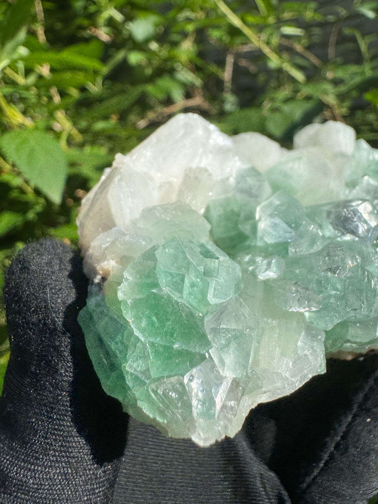 Green Apophyllite - 252g