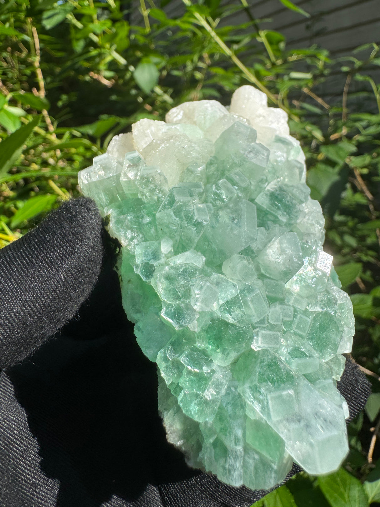 Green Apophyllite - 311g